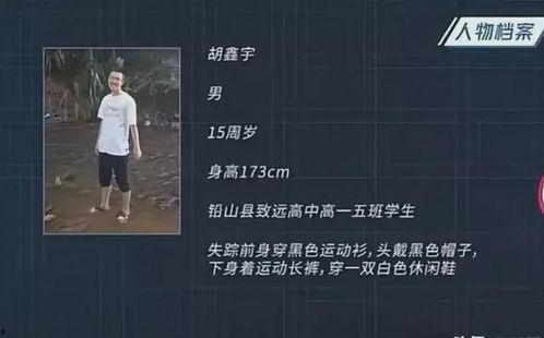 新闻爆料失踪案例最新,追踪最新未解之谜,揭开失踪者命运之谜 第3张 新闻爆料失踪案例最新,追踪最新未解之谜,揭开失踪者命运之谜 第3张